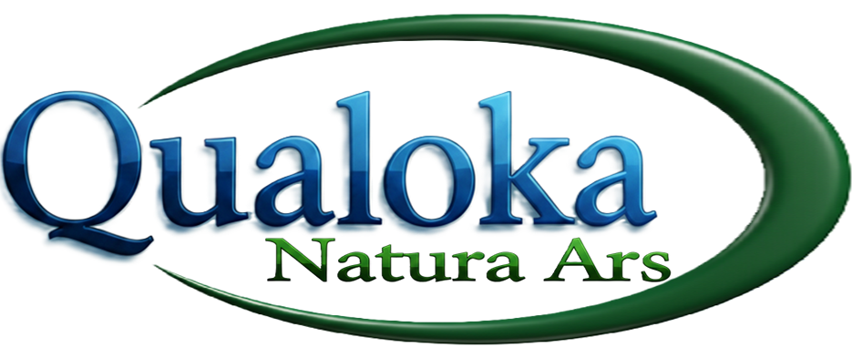 cropped cropped qualoka full 1.png