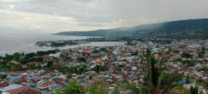 img 20260205 161454
