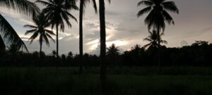 img 20260207 173547